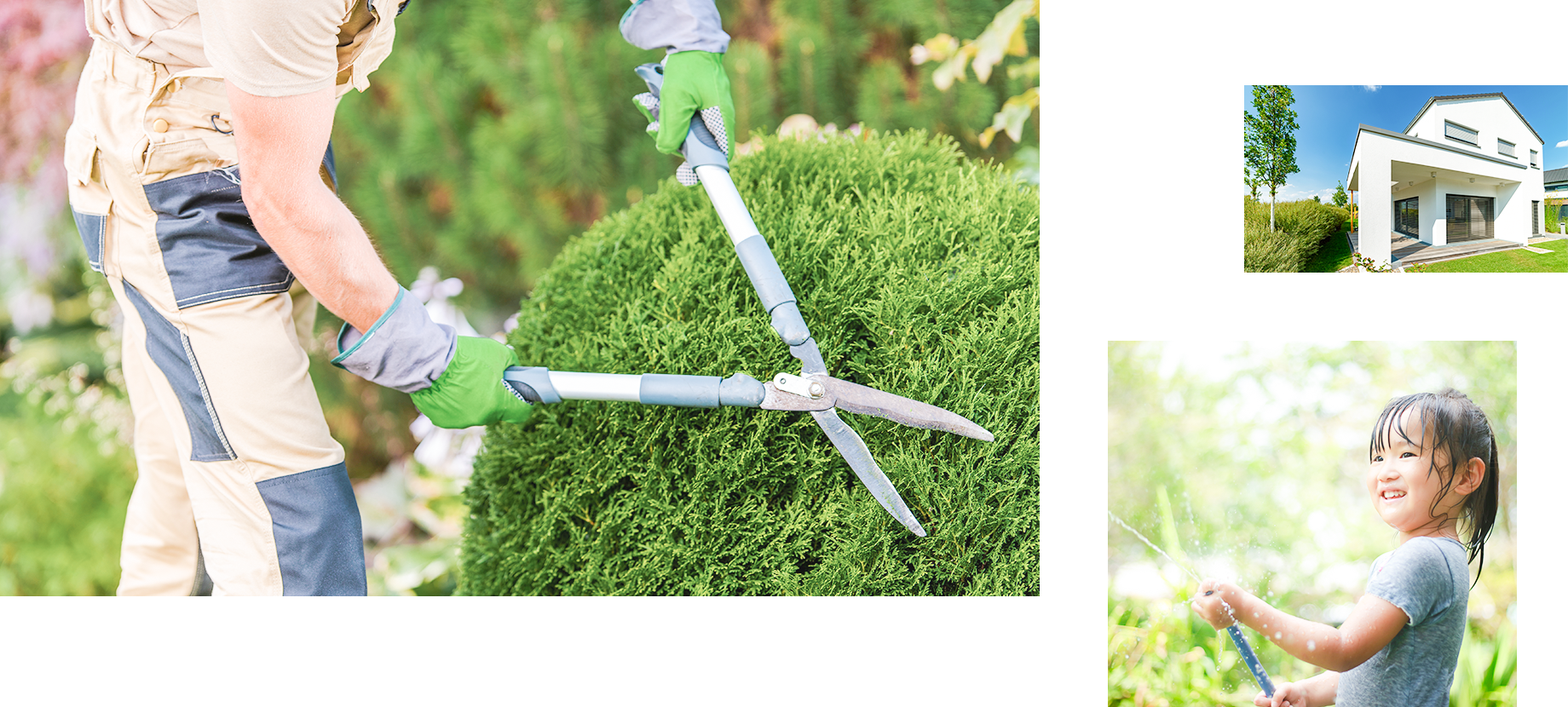 メインビジュアル